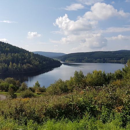Gemuetliche Ferienwohnung Im Schoenen Erzgebirge - Wohnung Fruehling Eibenstock Eksteriør billede